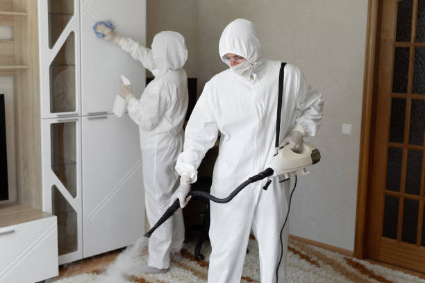 24/7 Emergency Odor Removal experts in University Place, WA